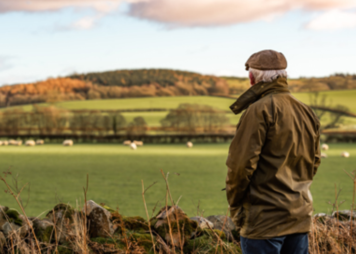 Man on farm